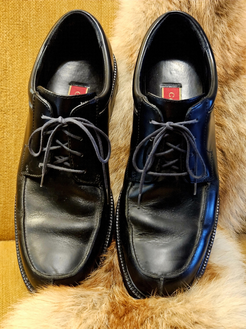 Cole Haan 'Country' [C01186] black LEATHER split-toe waterproof oxfords 10.5